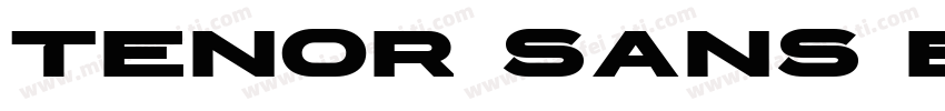 tenor sans bold字体转换